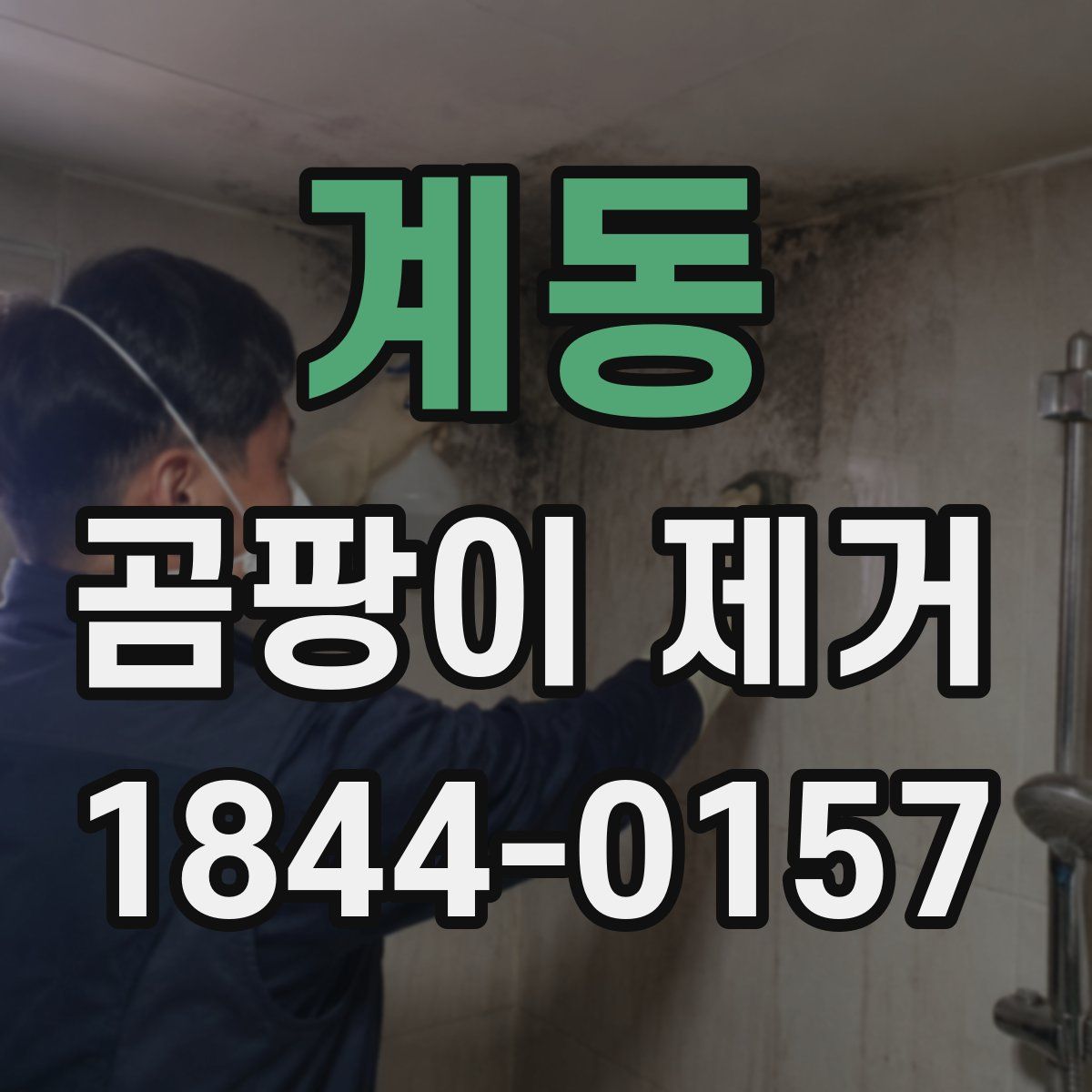 계동 곰팡이 제거