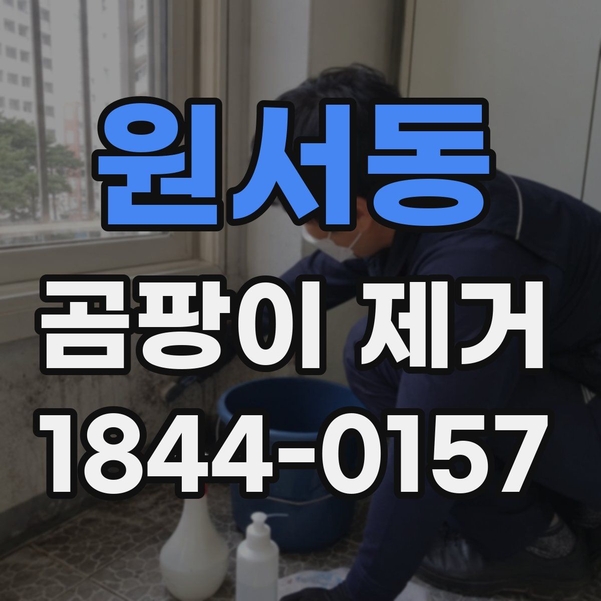 원서동 곰팡이 제거