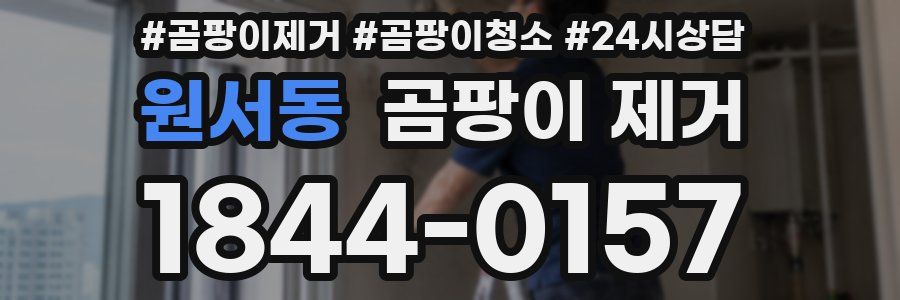 원서동 곰팡이 제거