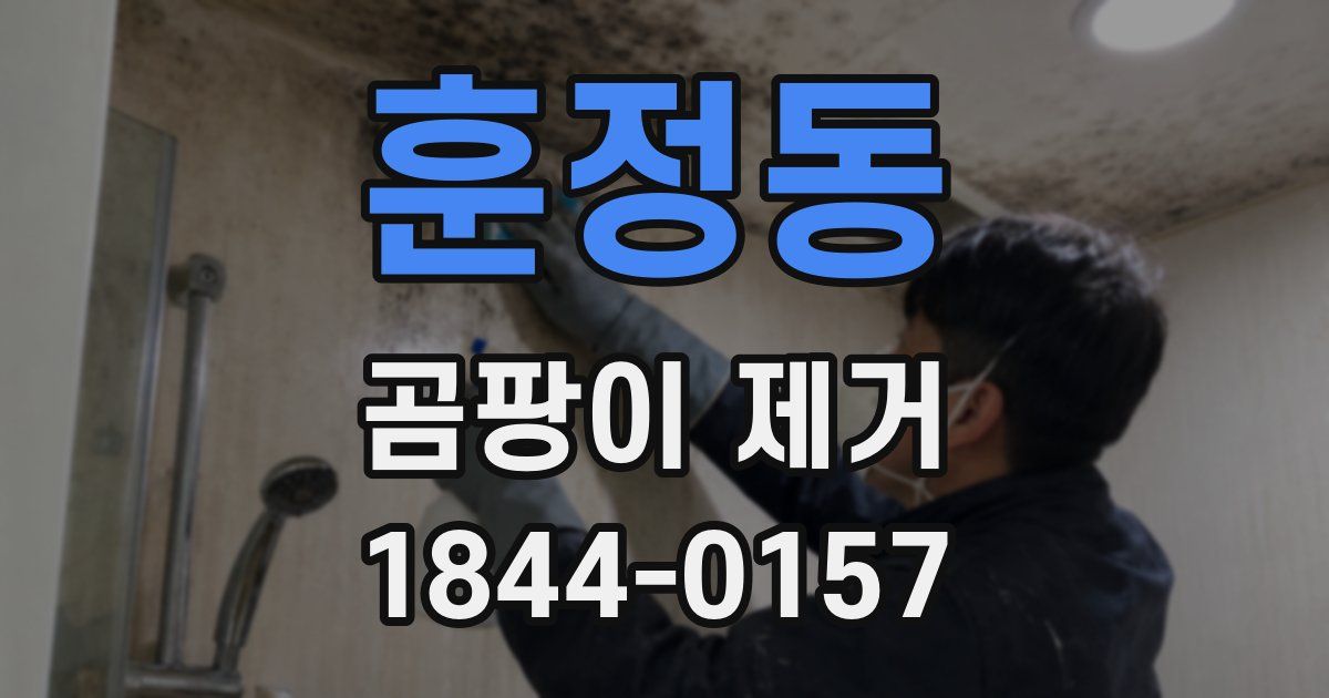 훈정동 곰팡이 제거
