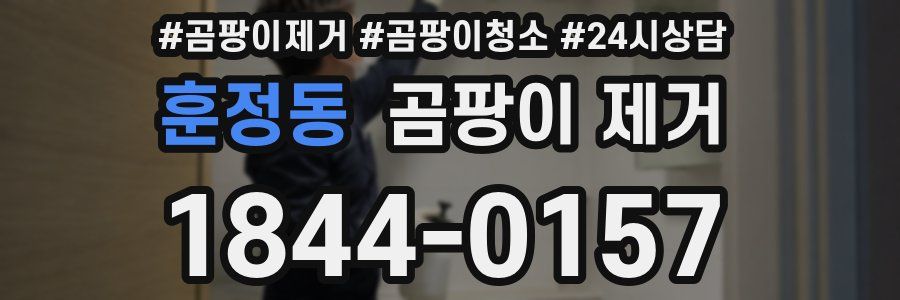 훈정동 곰팡이 제거