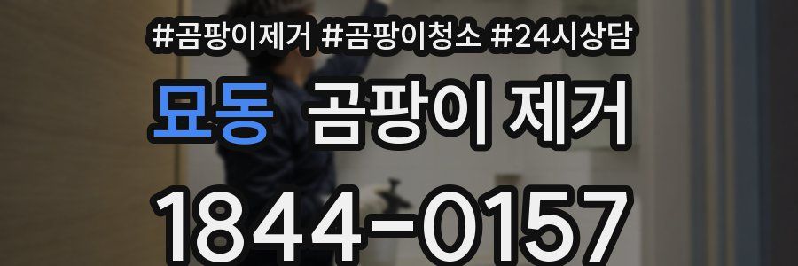 묘동 곰팡이 제거