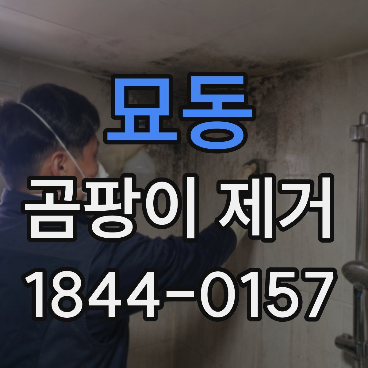 묘동 곰팡이 제거