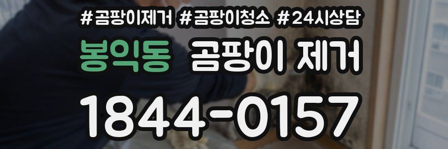 봉익동 곰팡이 제거