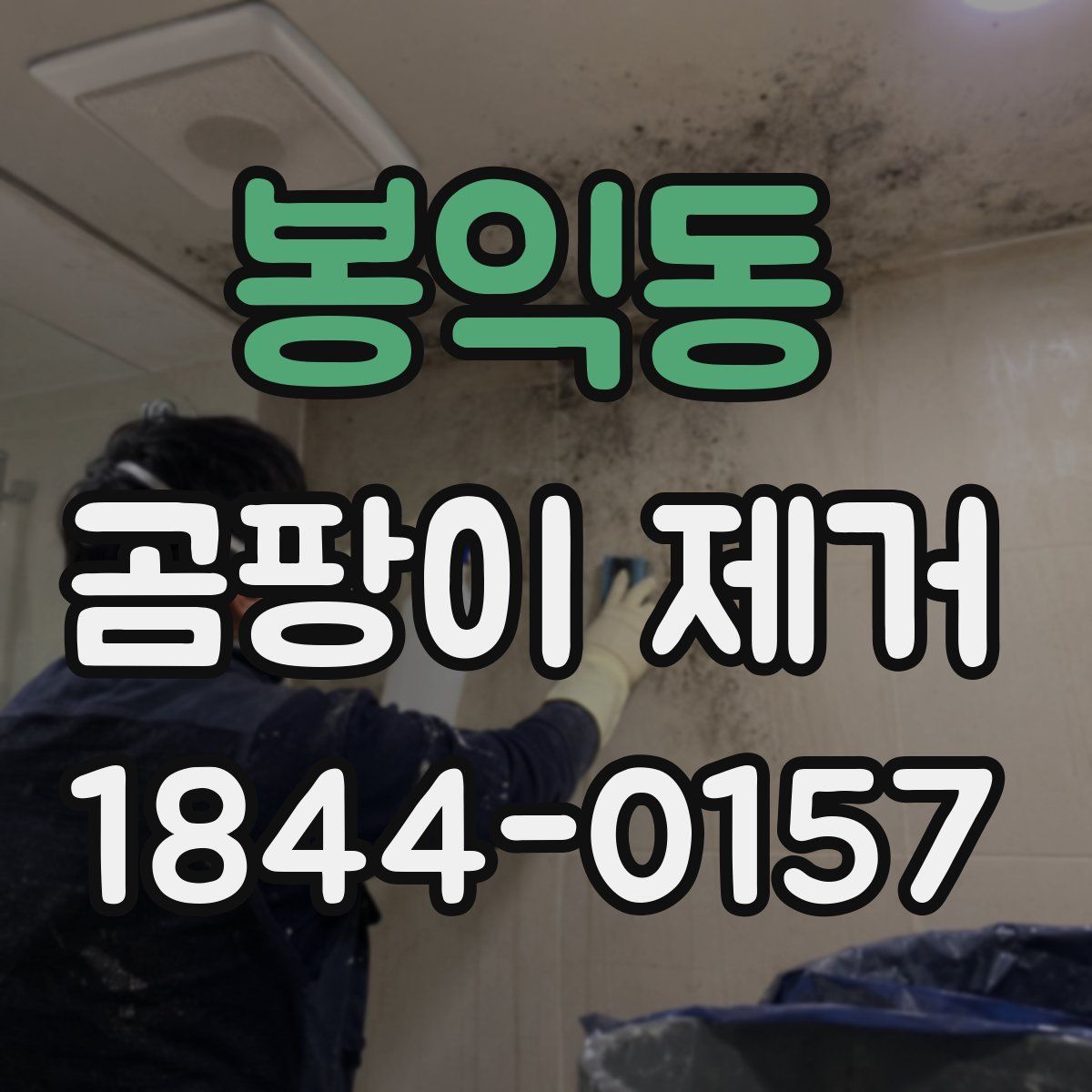 봉익동 곰팡이 제거