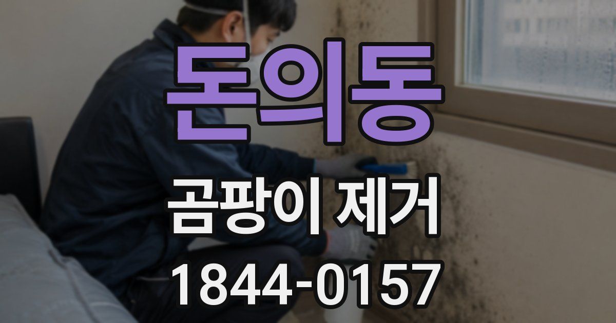 돈의동 곰팡이 제거