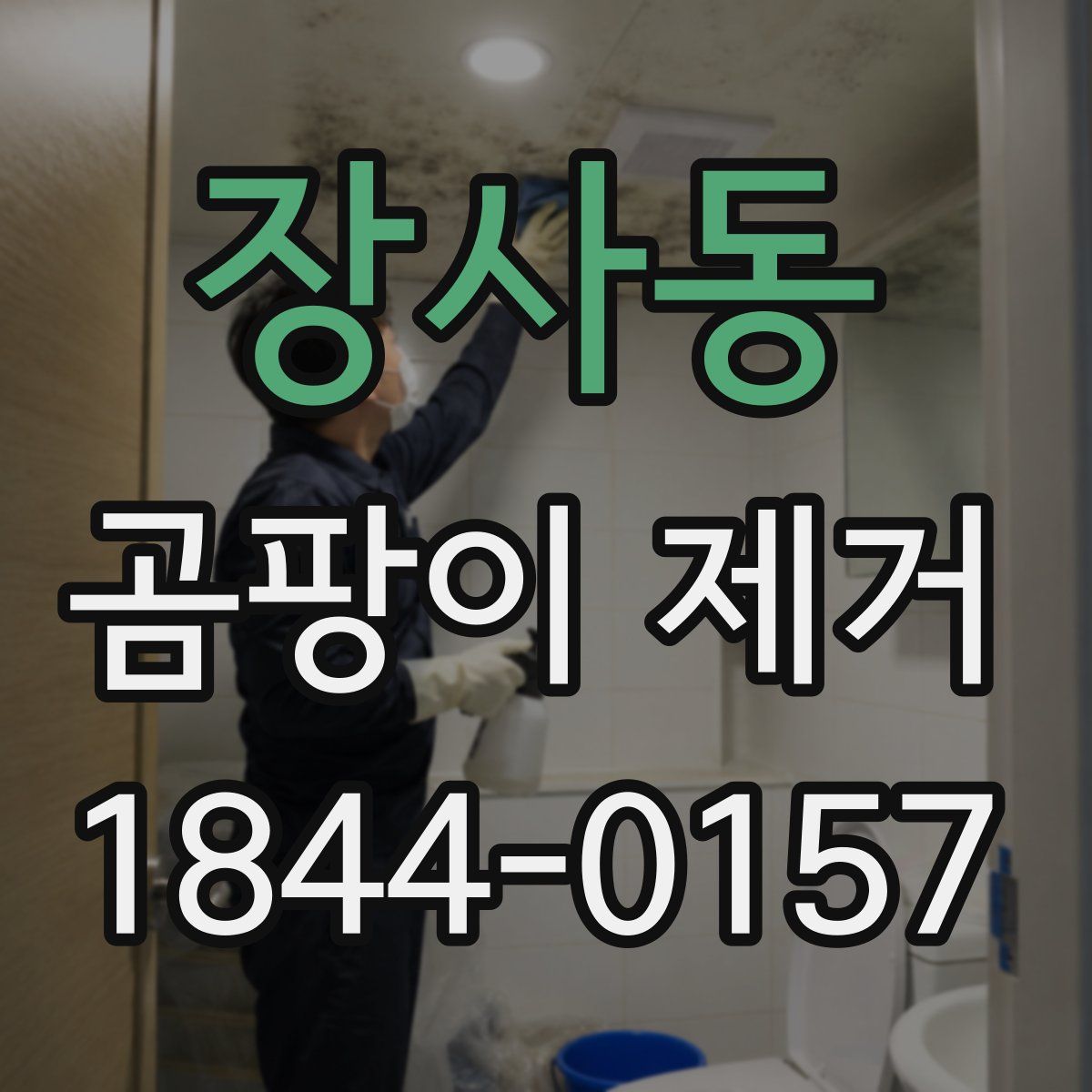 장사동 곰팡이 제거