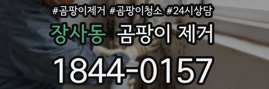 장사동 곰팡이 제거