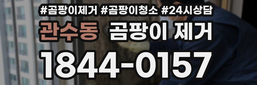 관수동 곰팡이 제거