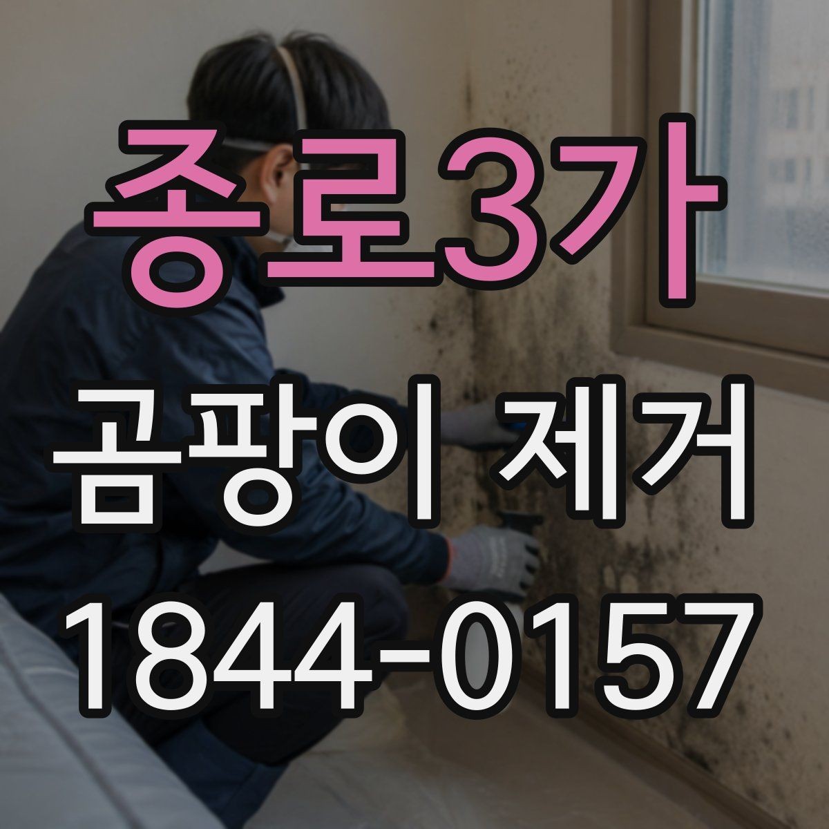 종로3가 곰팡이 제거 베란다 주변 습기 원인부터 정리하기