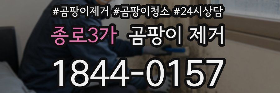 종로3가 곰팡이 제거