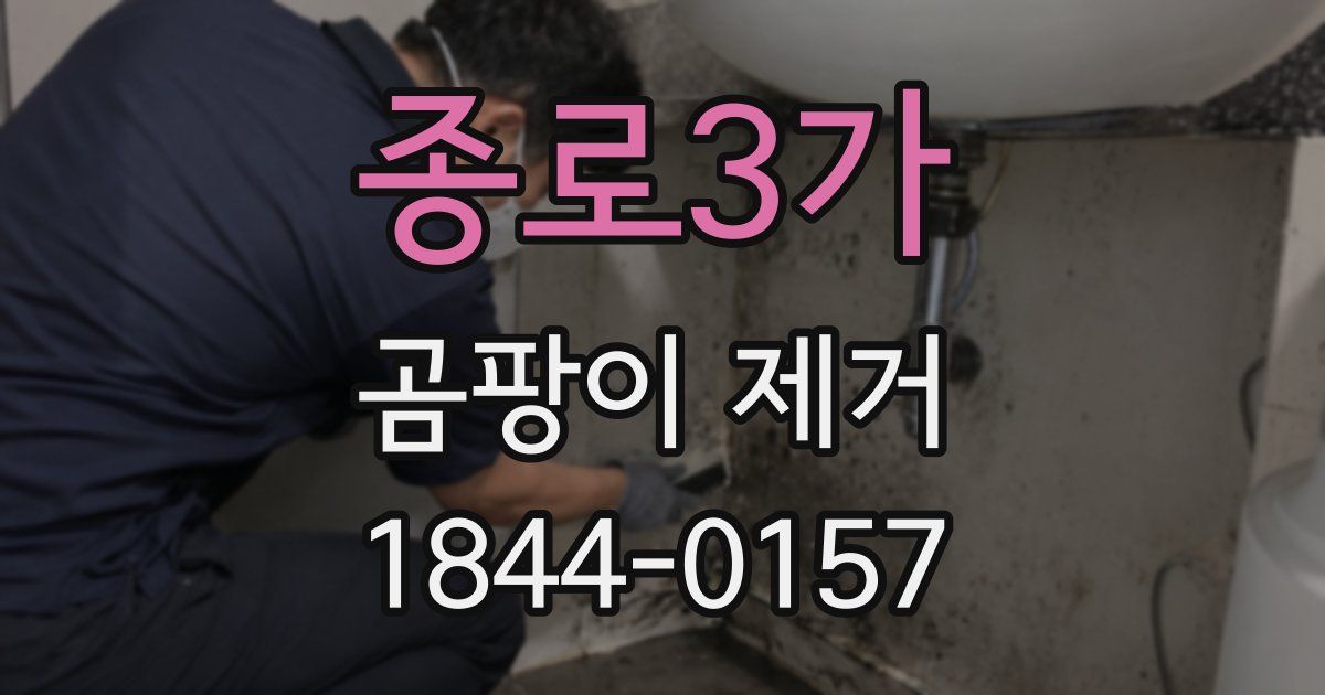 종로3가 곰팡이 제거