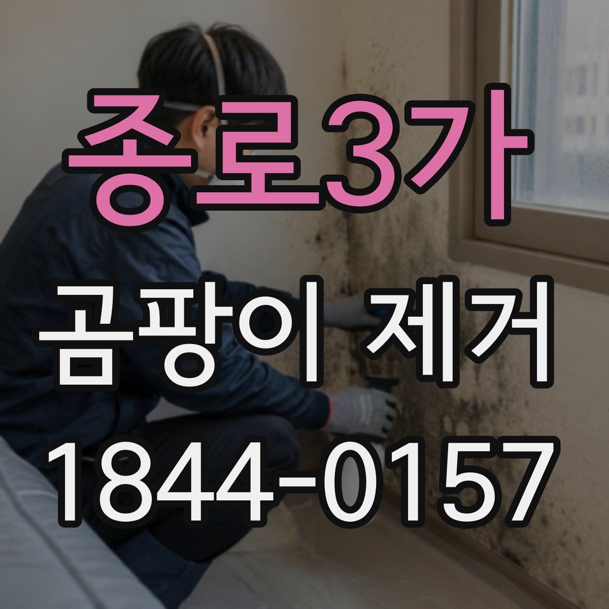 종로3가 곰팡이 제거