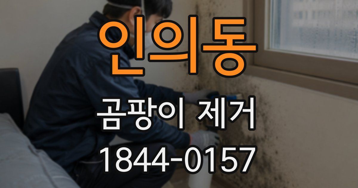인의동 곰팡이 제거