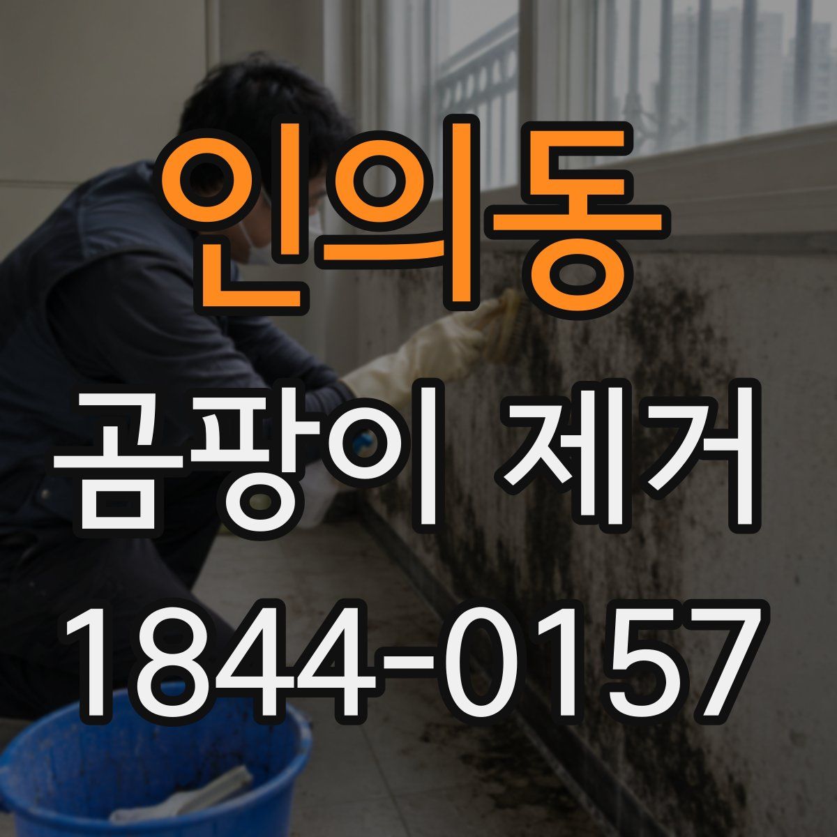 인의동 곰팡이 제거