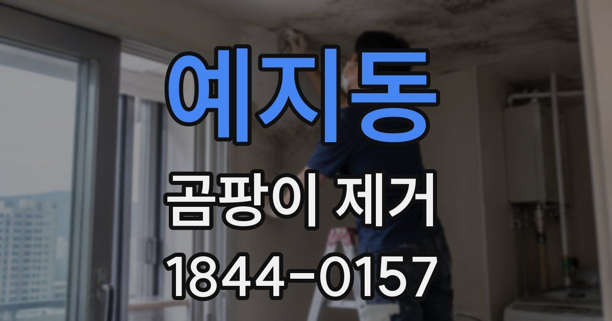 예지동 곰팡이 제거
