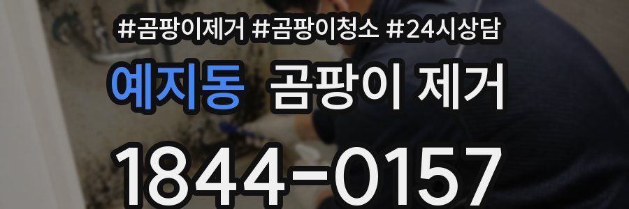 예지동 곰팡이 제거