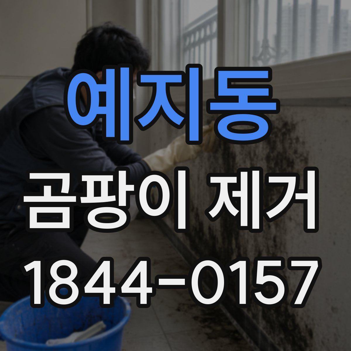예지동 곰팡이 제거