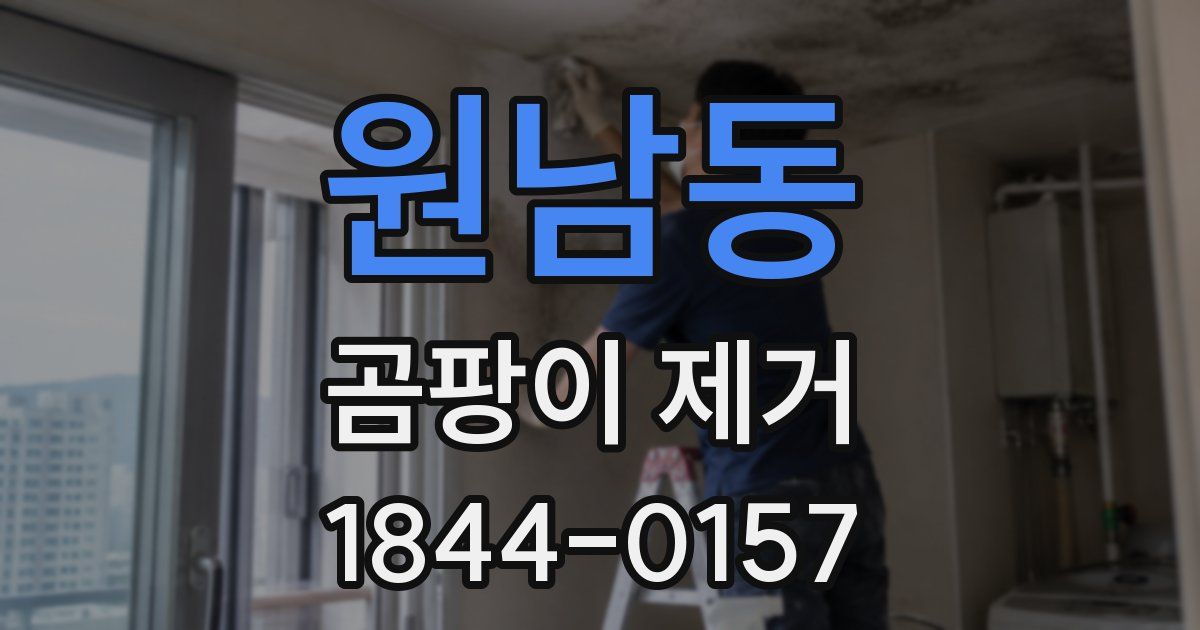 원남동 곰팡이 제거