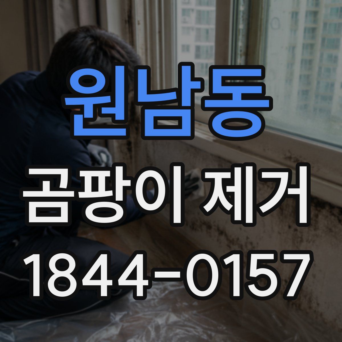 원남동 곰팡이 제거