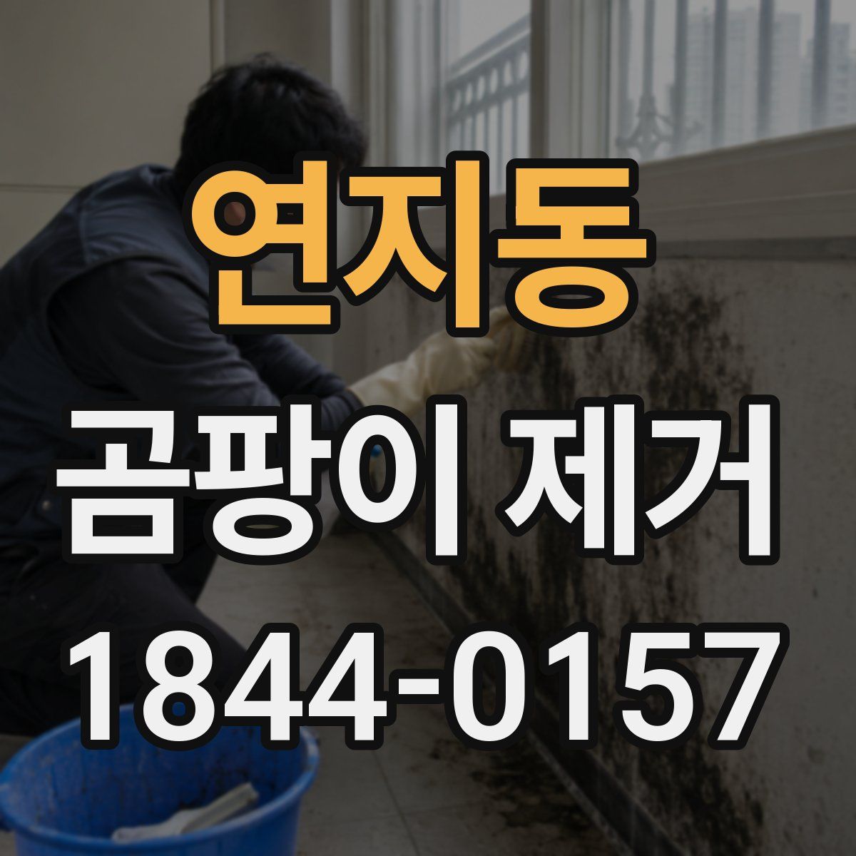 연지동 곰팡이 제거