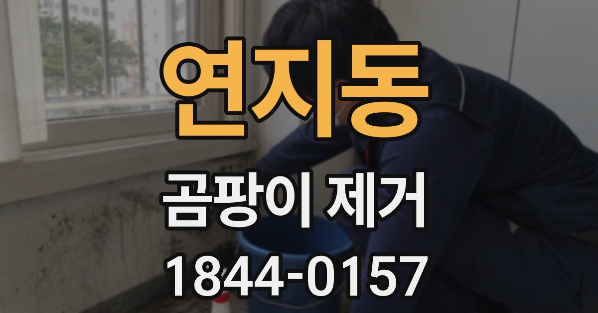 연지동 곰팡이 제거