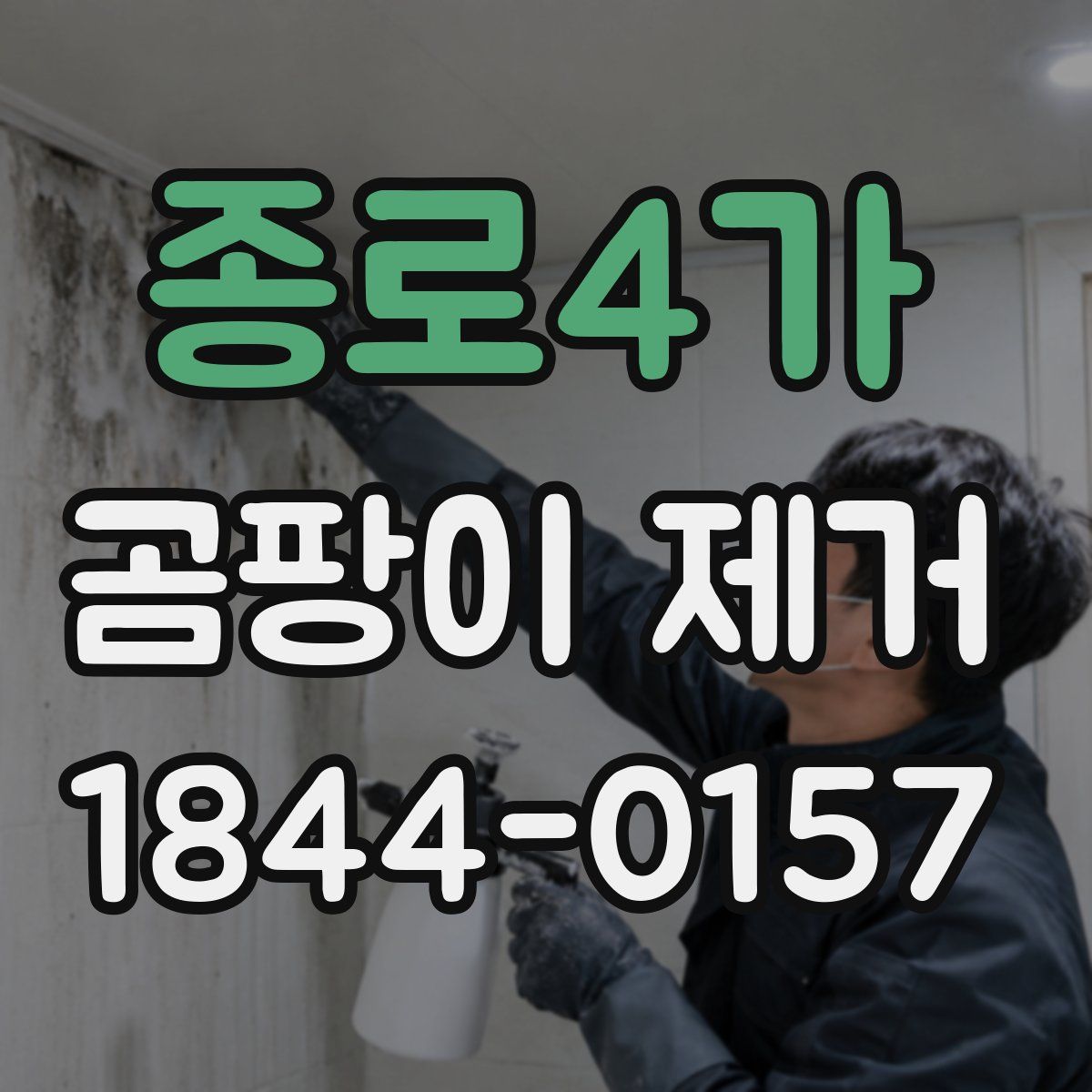 종로4가 곰팡이 제거