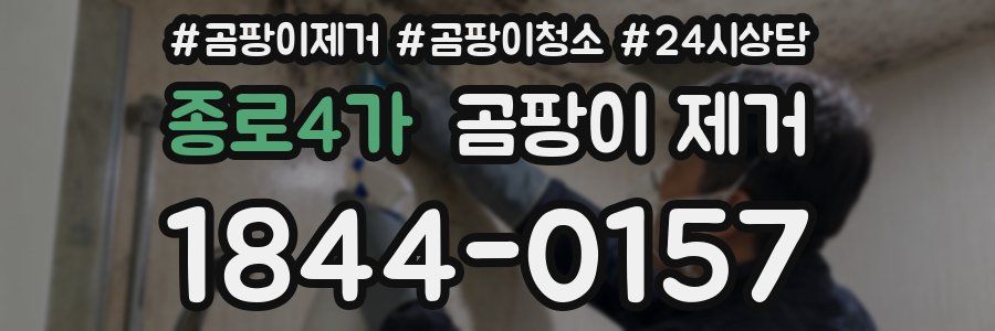 종로4가 곰팡이 제거