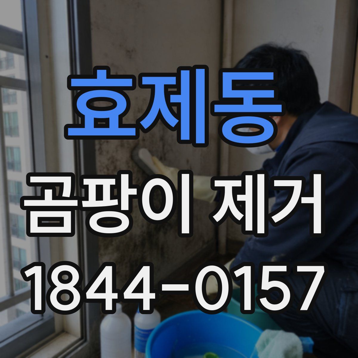 효제동 곰팡이 제거