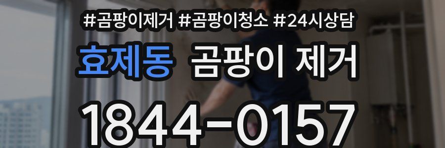 효제동 곰팡이 제거