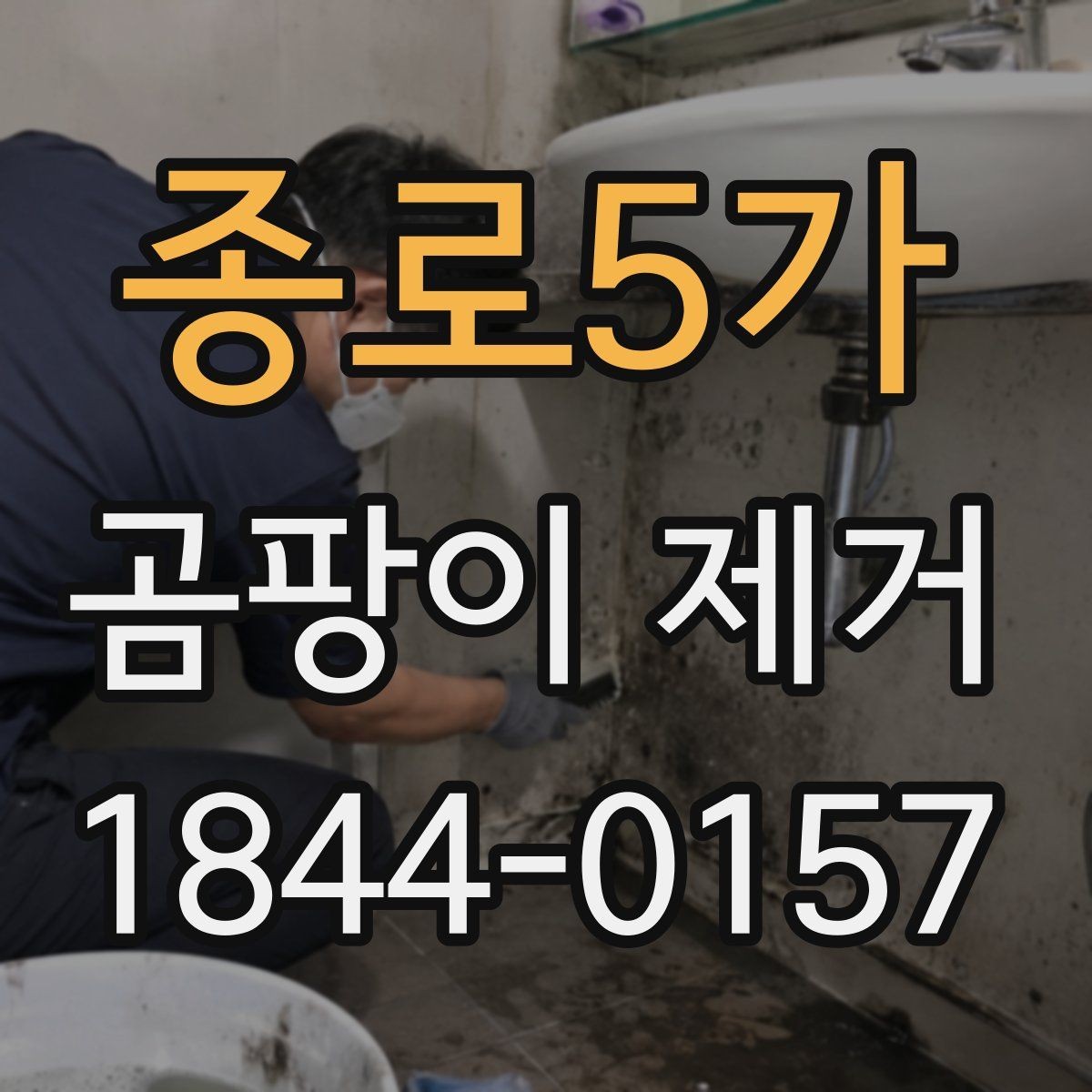 종로5가 곰팡이 제거 실내 습도 관리가 필요한 순간들