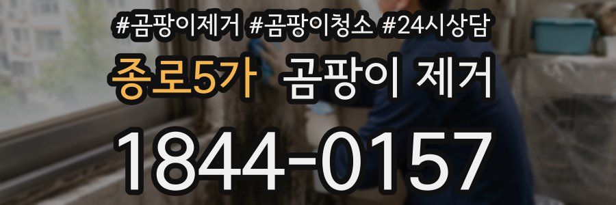 종로5가 곰팡이 제거