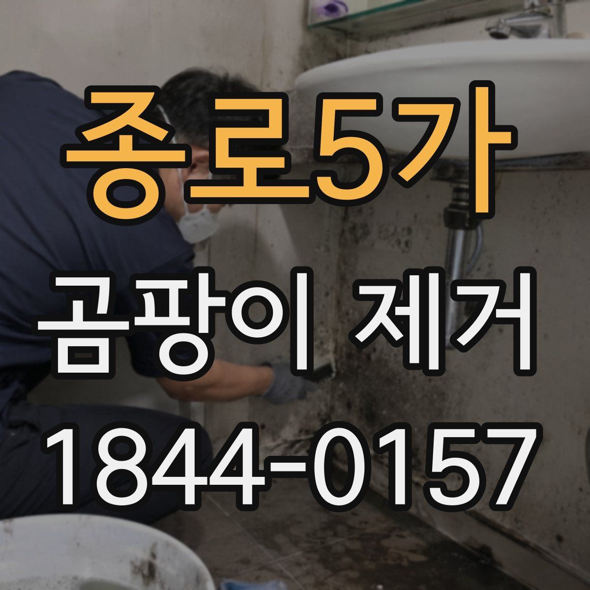 종로5가 곰팡이 제거