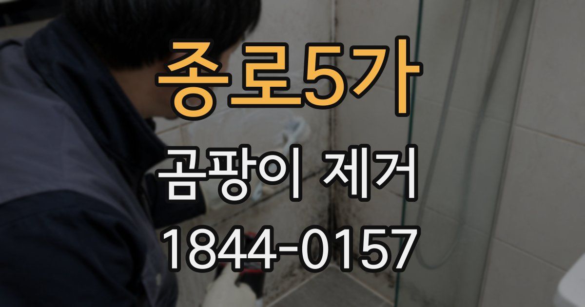 종로5가 곰팡이 제거