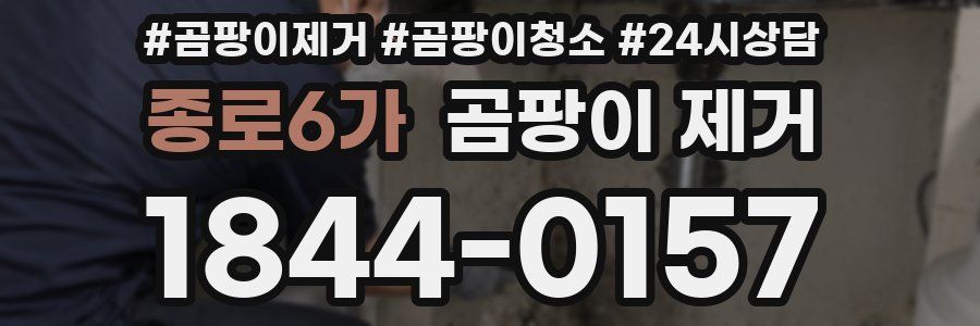종로6가 곰팡이 제거
