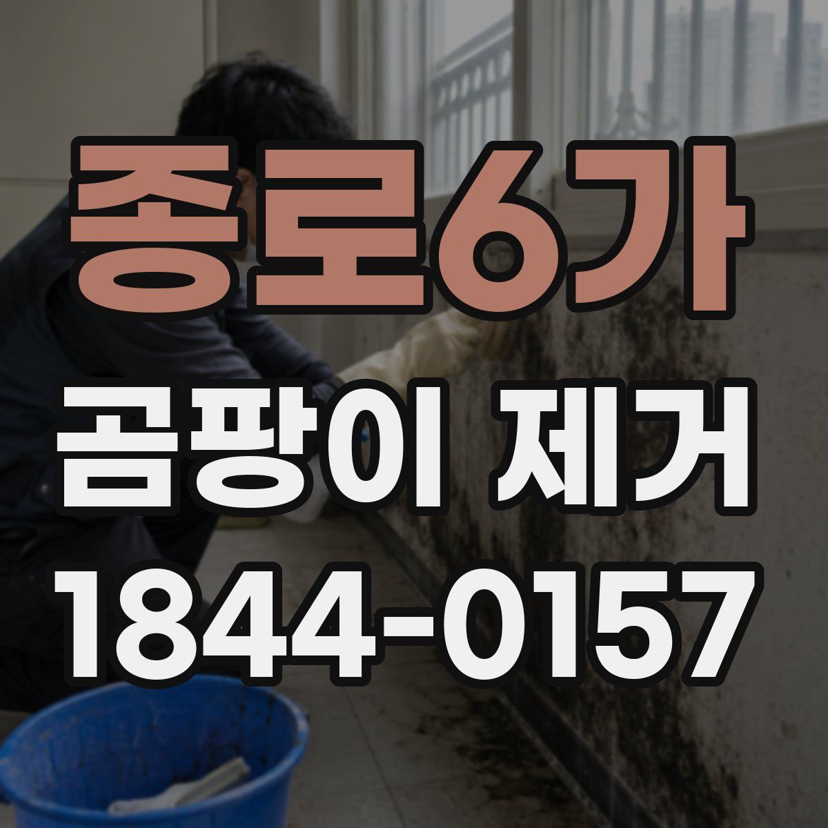 종로6가 곰팡이 제거