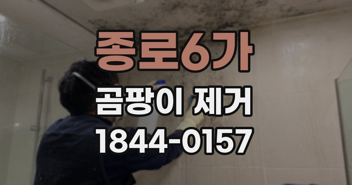 종로6가 곰팡이 제거
