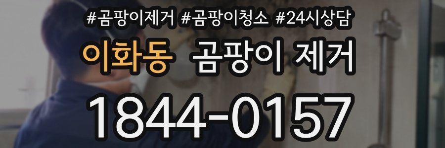 이화동 곰팡이 제거