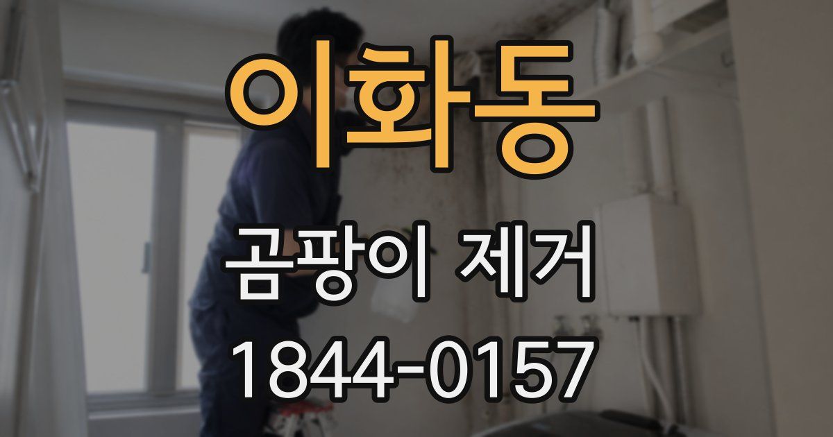 이화동 곰팡이 제거