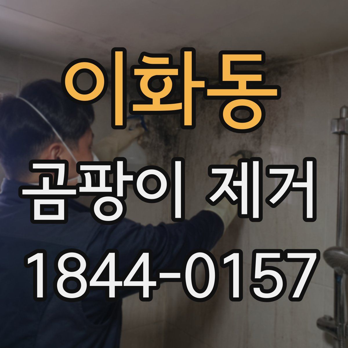 이화동 곰팡이 제거