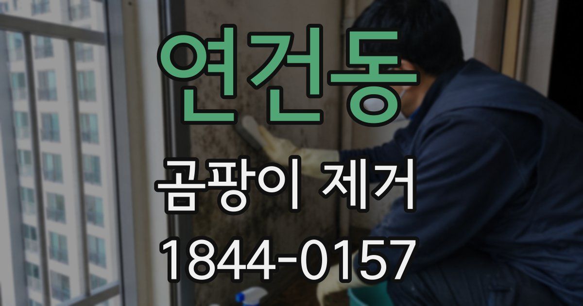 연건동 곰팡이 제거