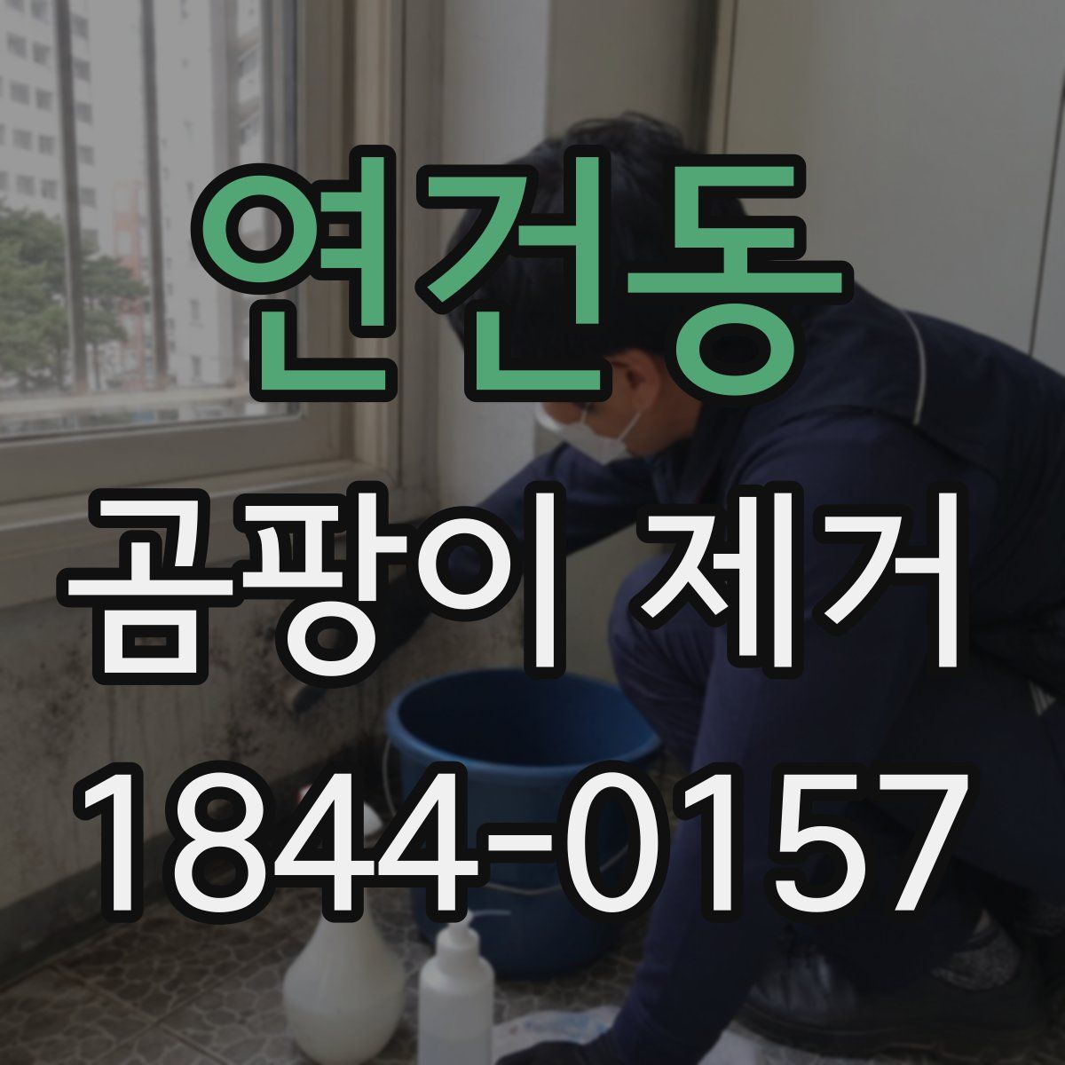 연건동 곰팡이 제거