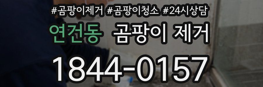 연건동 곰팡이 제거