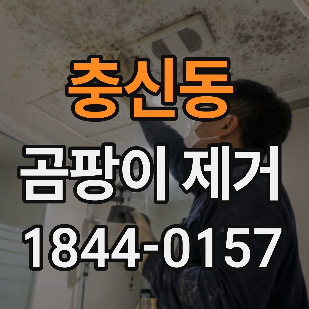 충신동 곰팡이 제거 결로가 반복되는 방의 공통 신호