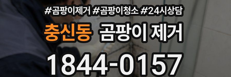 충신동 곰팡이 제거