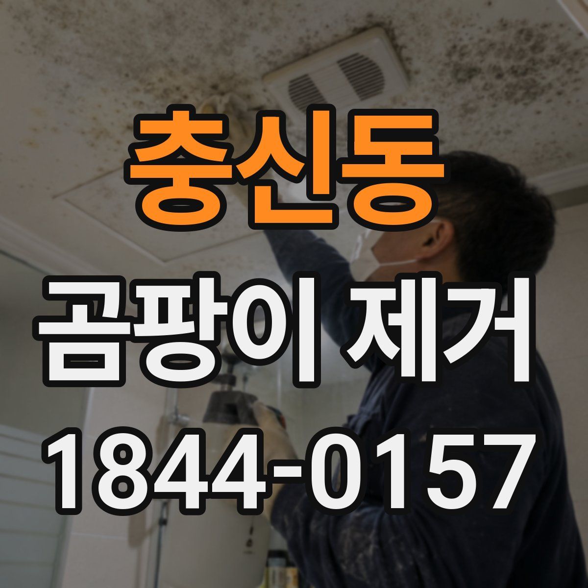 충신동 곰팡이 제거
