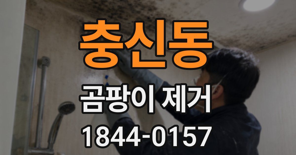 충신동 곰팡이 제거