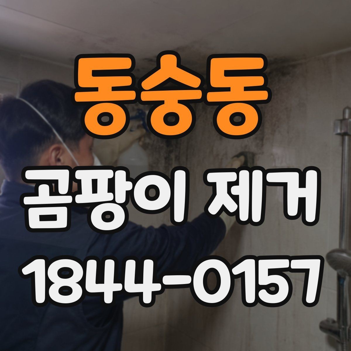동숭동 곰팡이 제거 수납장 안쪽 습기부터 점검해야 하는 까닭