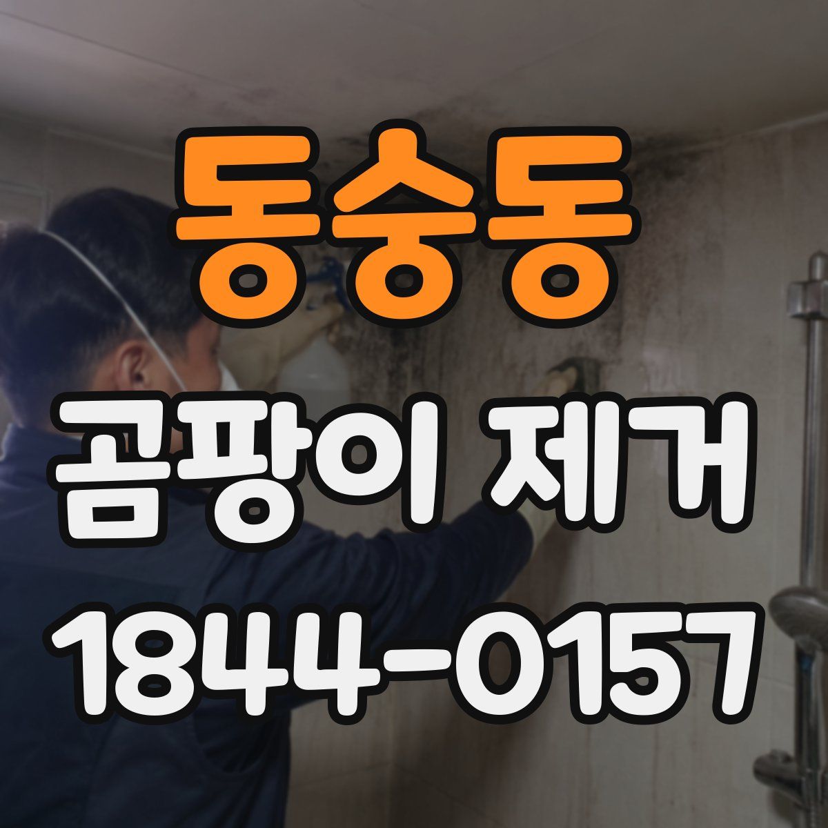 동숭동 곰팡이 제거