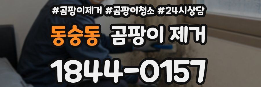 동숭동 곰팡이 제거